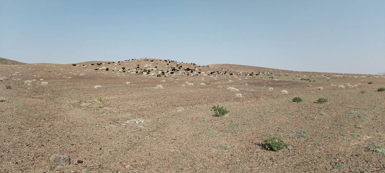 جهاد اباد فاز 3