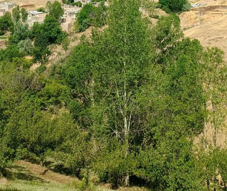 خانه ویلایی