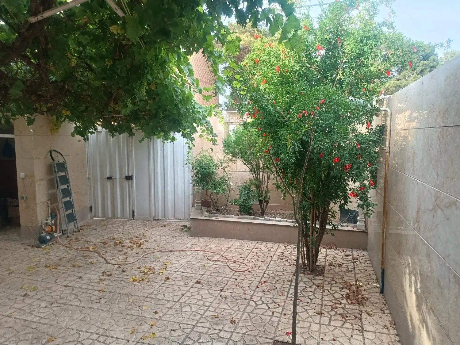 فروش یا رهن