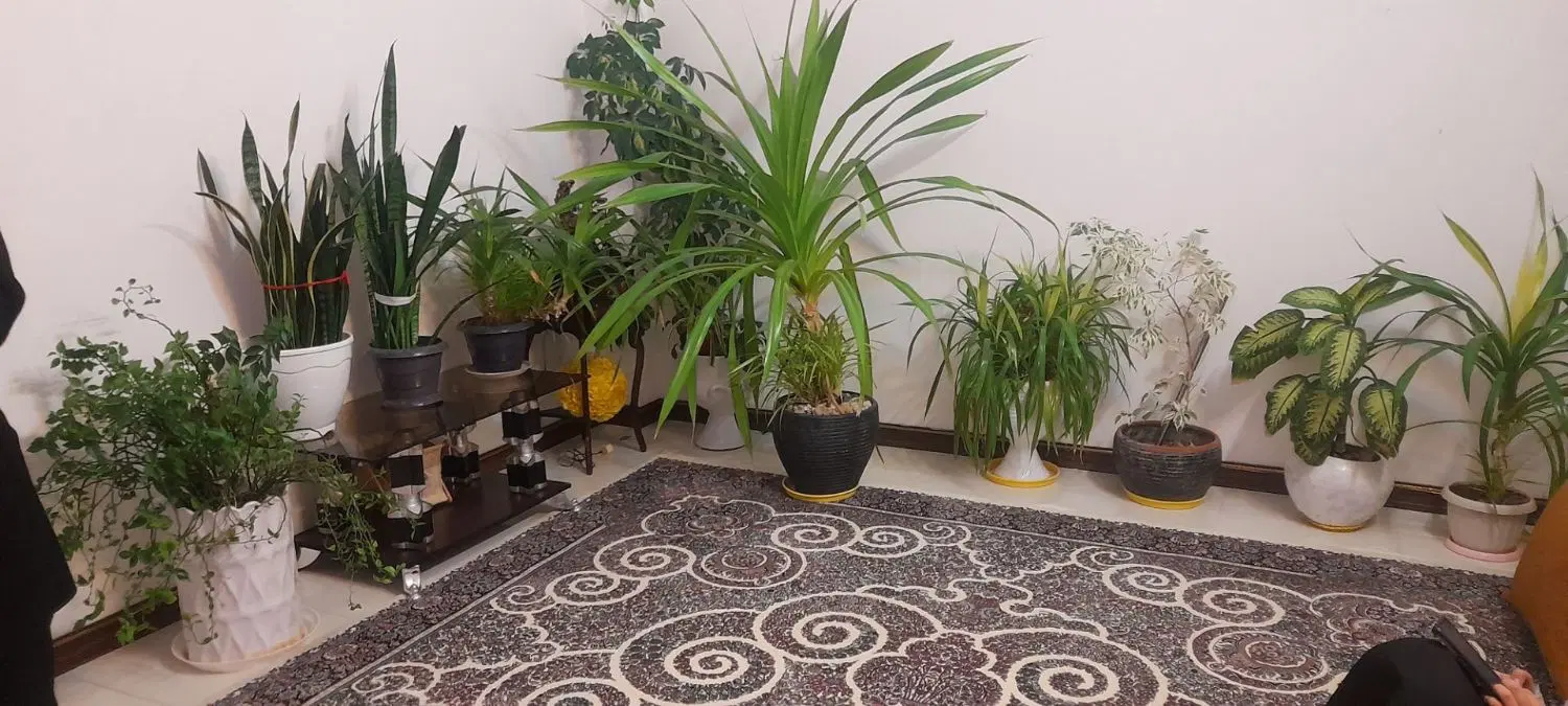 خانه اجاره ای