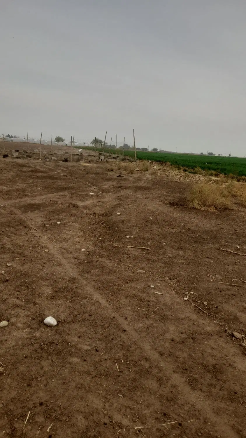 زمین باغی