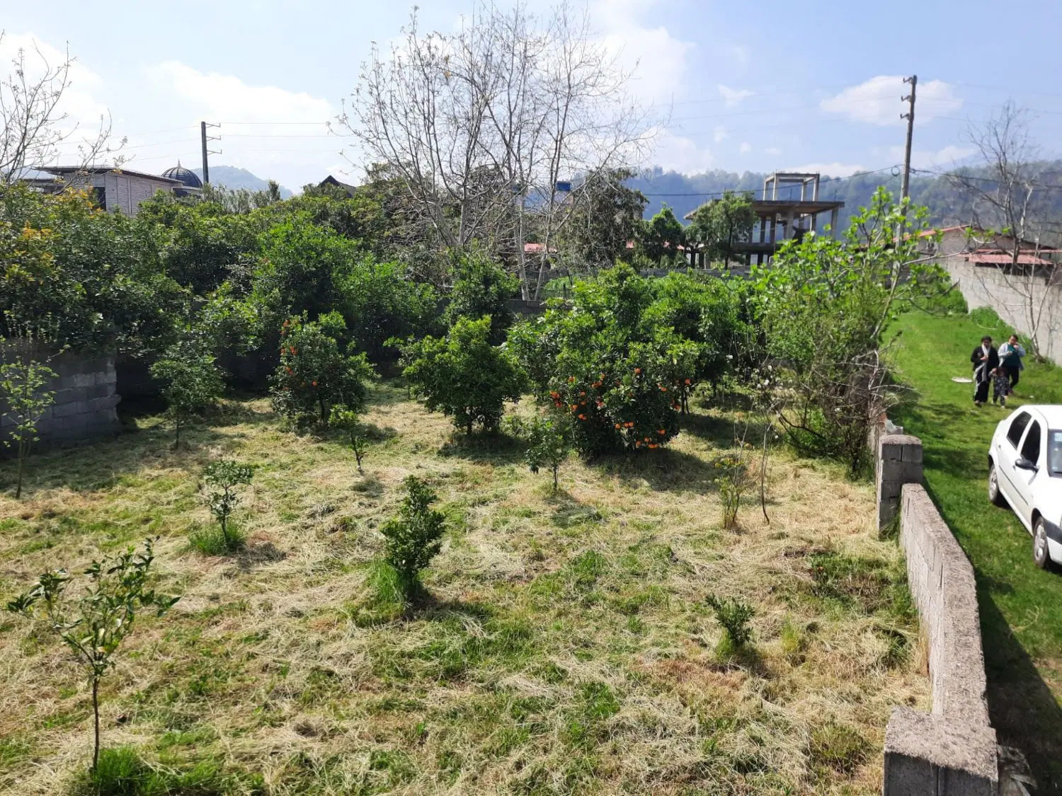 فروش زمین در قلعه گردن