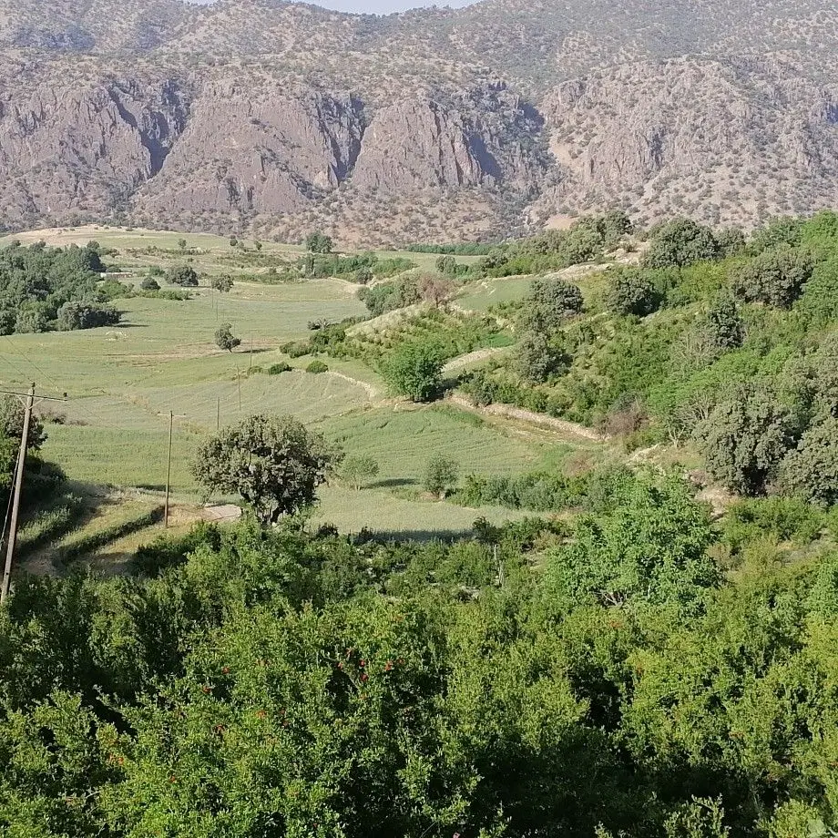 فروش باغ