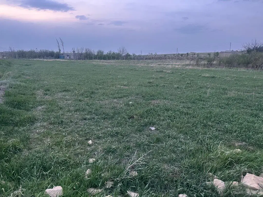 زمین باغی پر آب بنچاق مادر زیر قیمت معاوضه هم دارم