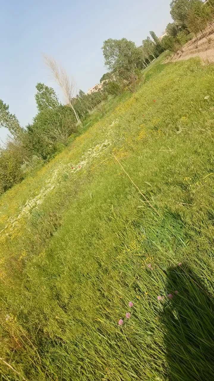 باغ
