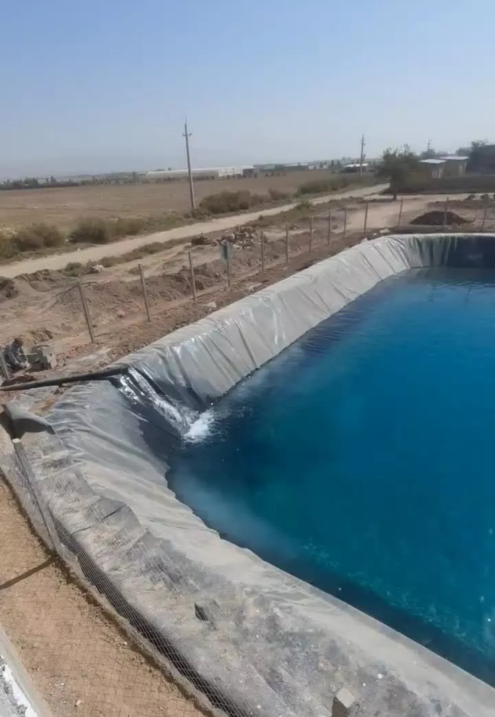۷۵۰۰ متر با جواز گلخانه سند تک برگ (ایوانکی)