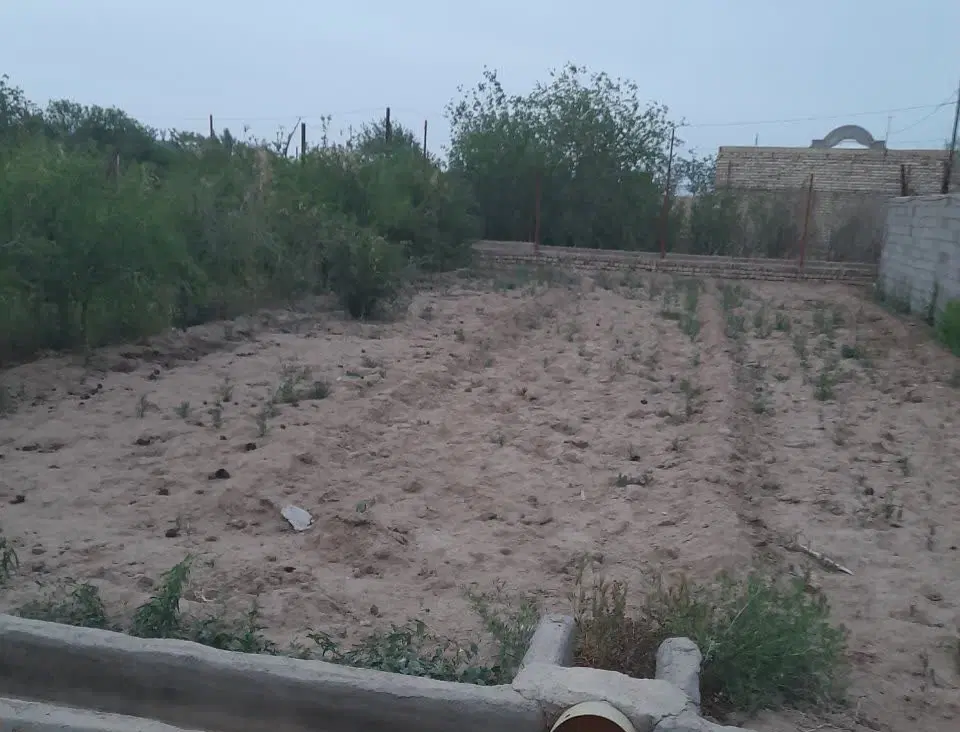 زمین دشتی