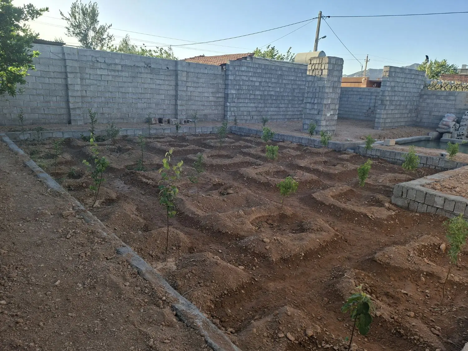 باغ ورودی نهضت اباد شهریار۴