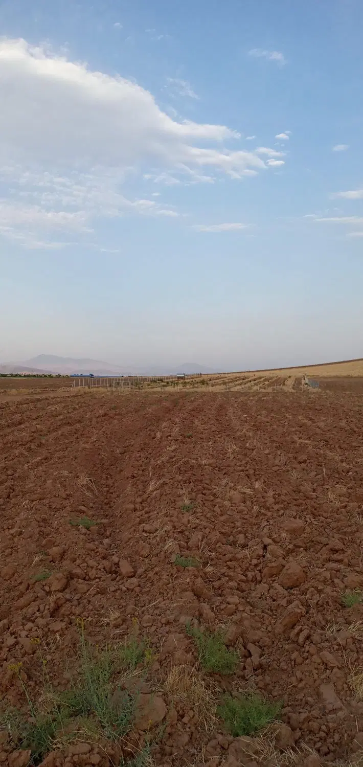 شفیع آباد زمین