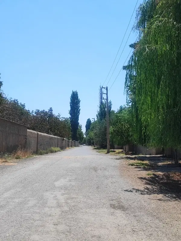 باغچه 300متری شهرکی سند تک برگ