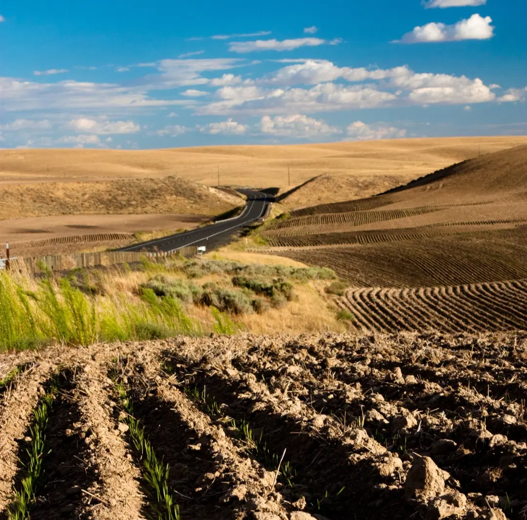 زمین دیم نزدیک ب آب روستای توریستی