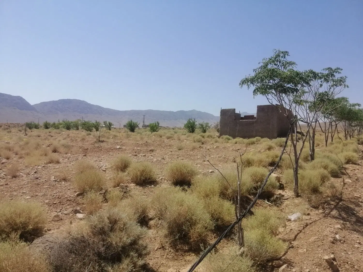 زمین باغی کشاورزی کوهپایه