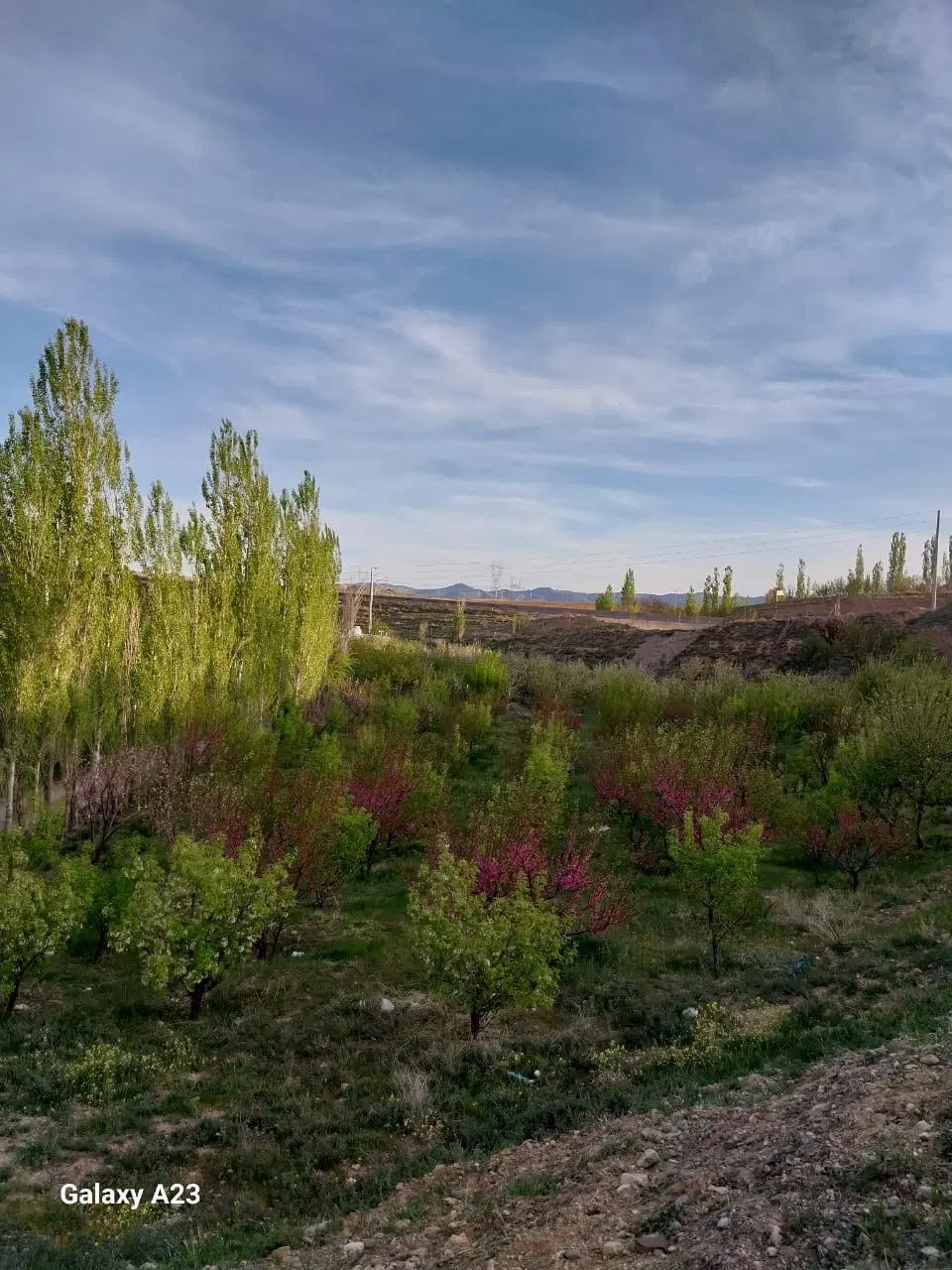 فروش باغ اتوبان زنجان تبریز