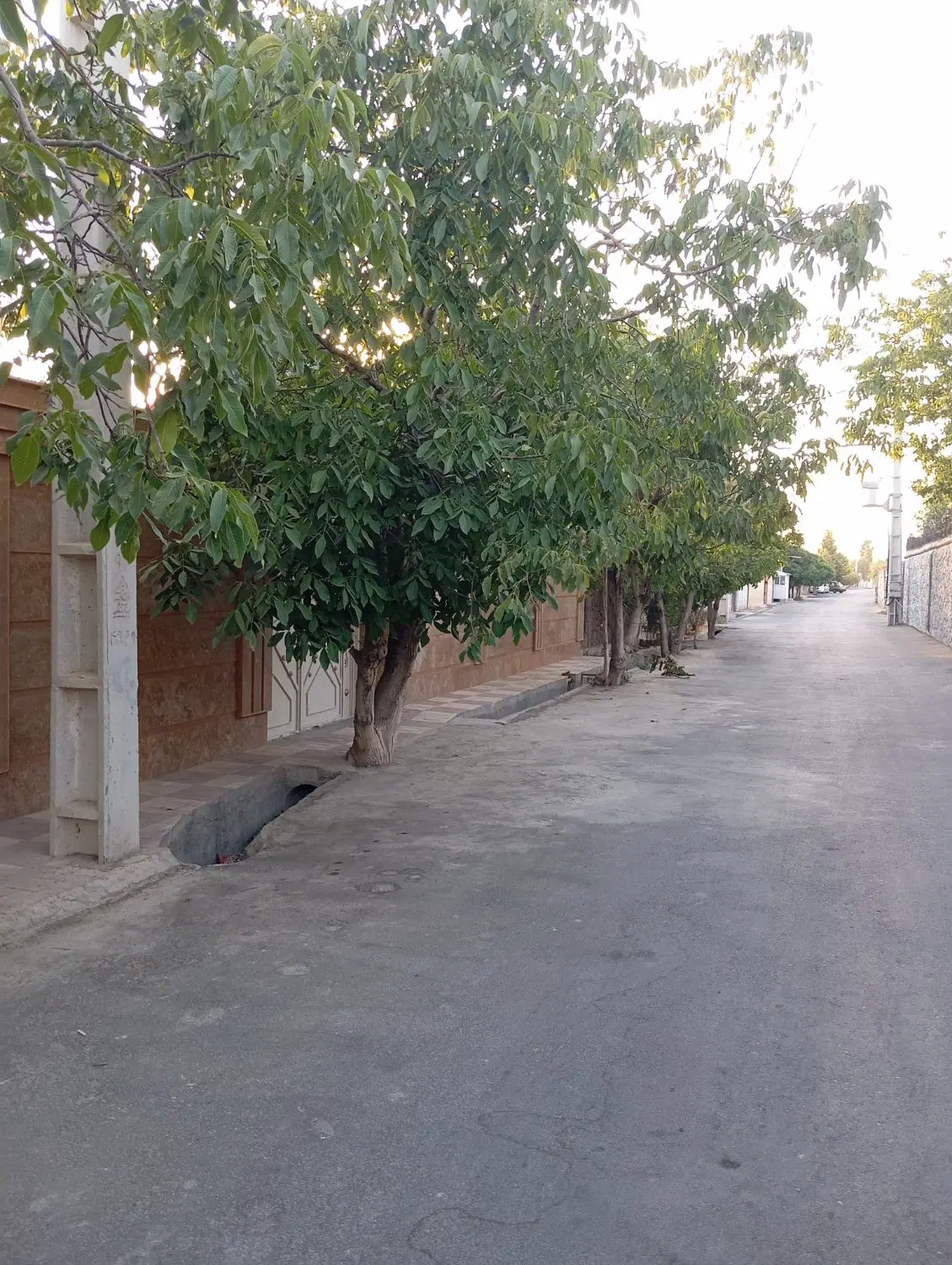 باغچه ۲۸۰متری در بهترین لوکیشن ملارد