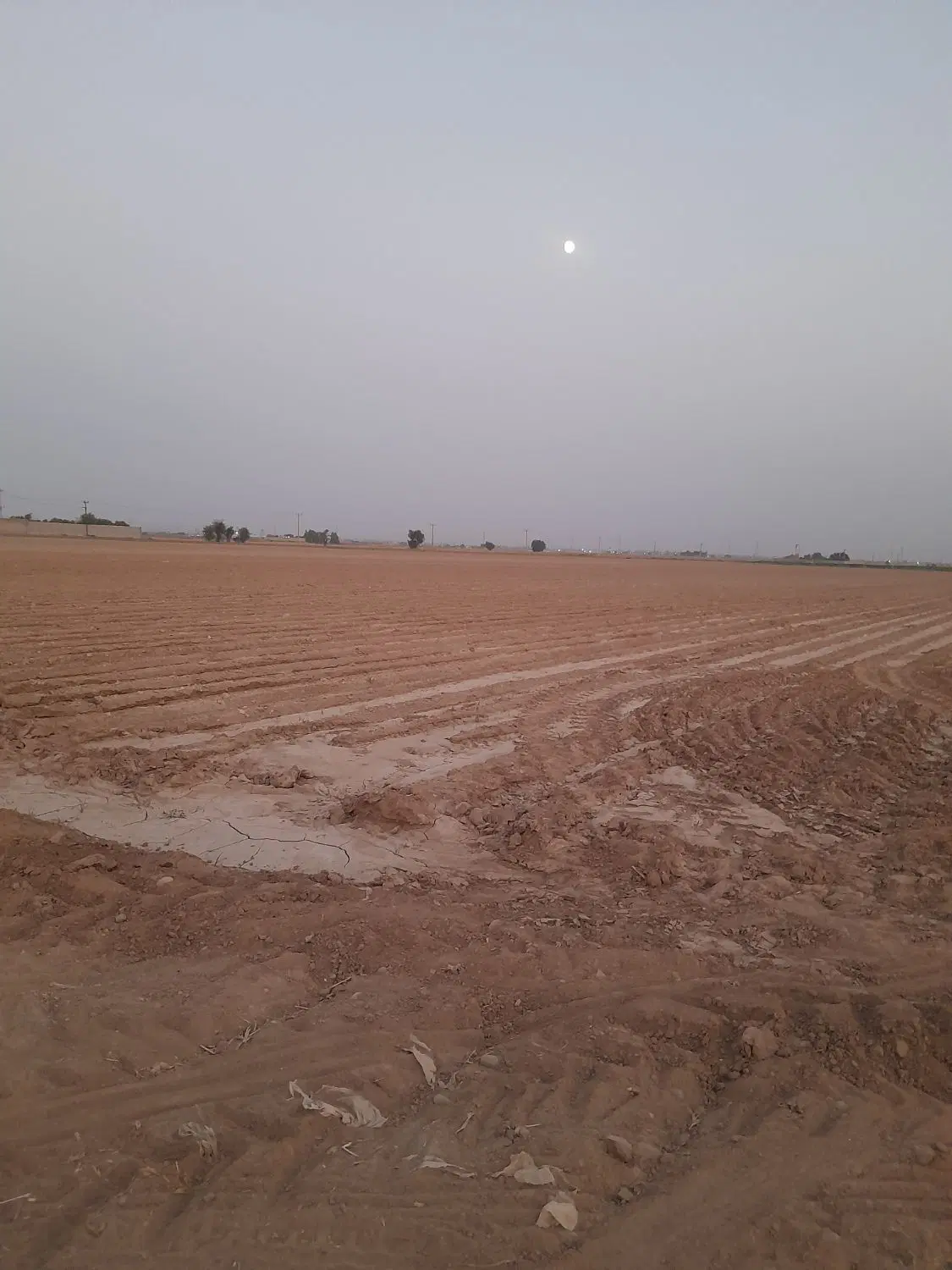 زمین برا اجاره خیار