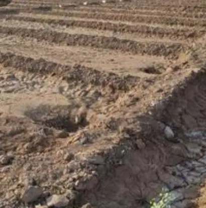 زمین کشاورزی