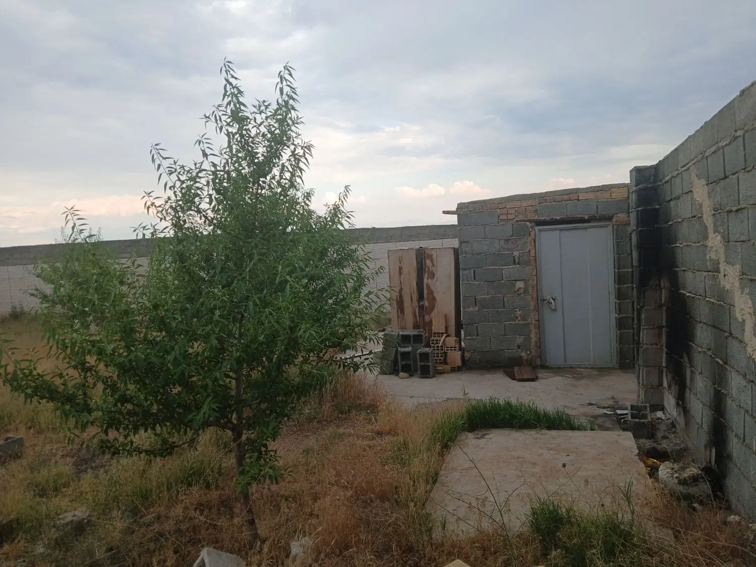 باغ ویلای بادام و پسته