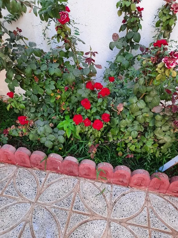 خانه ویلایی  شهرک بسیج