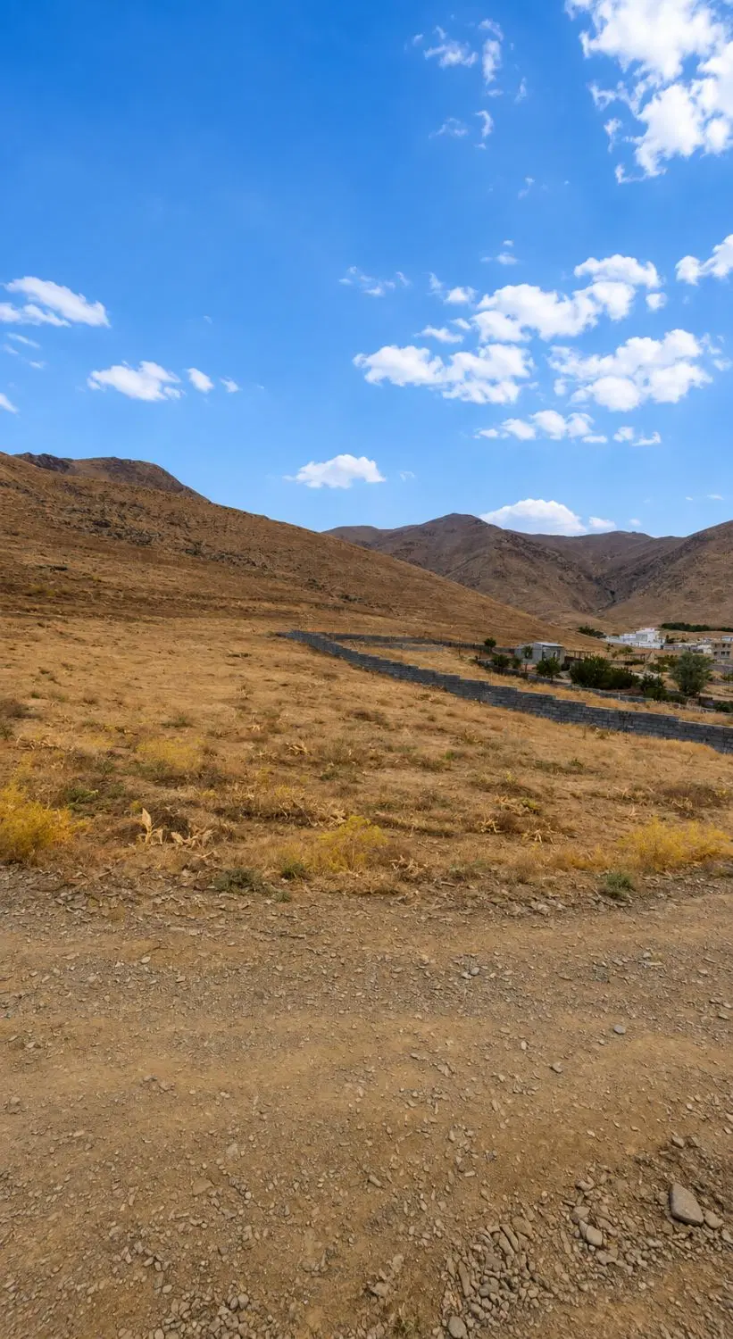 زمین نزدیک طرح هادی