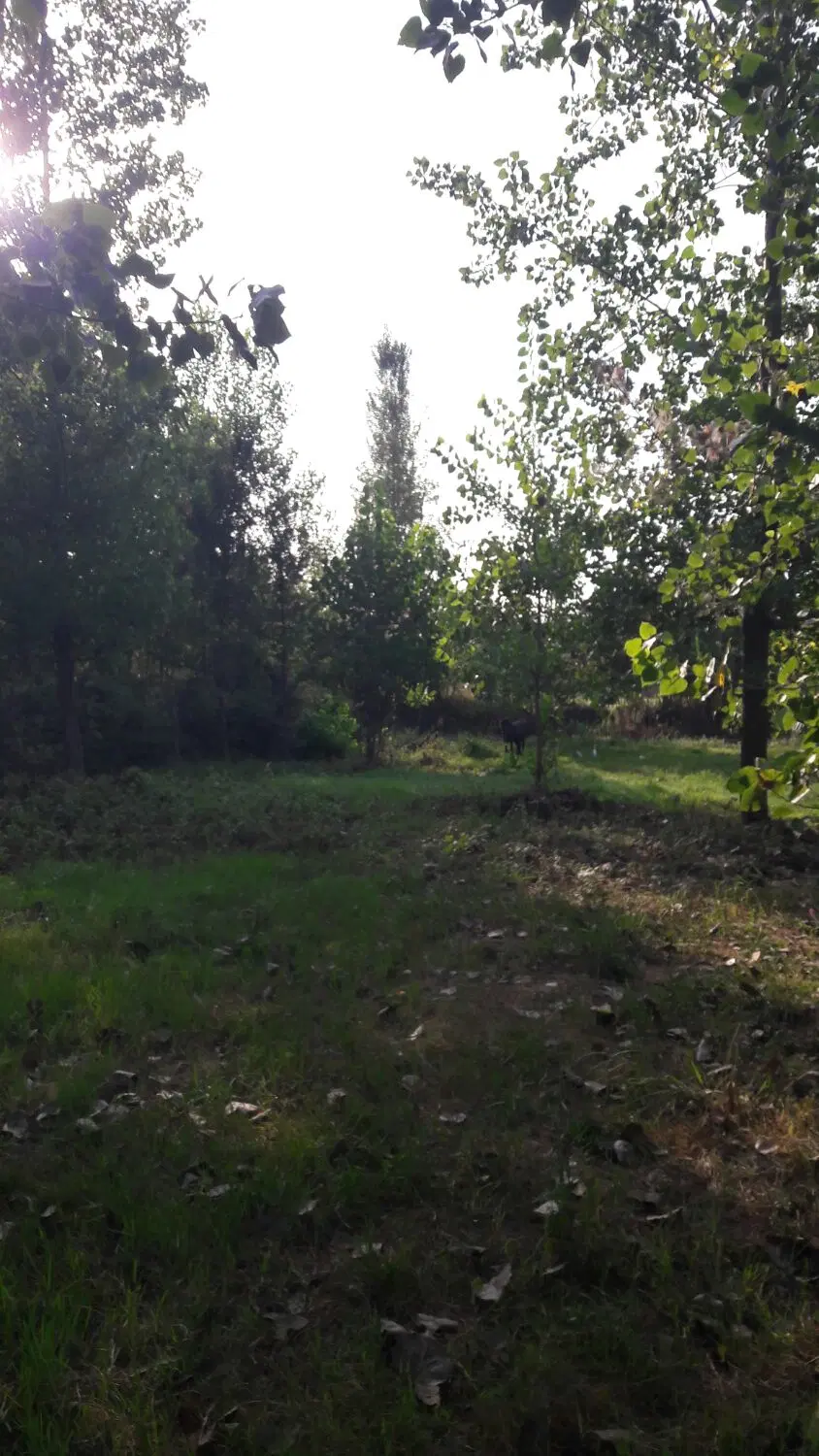 زمین مسکونی باغی با پروانه ساخت سنگر