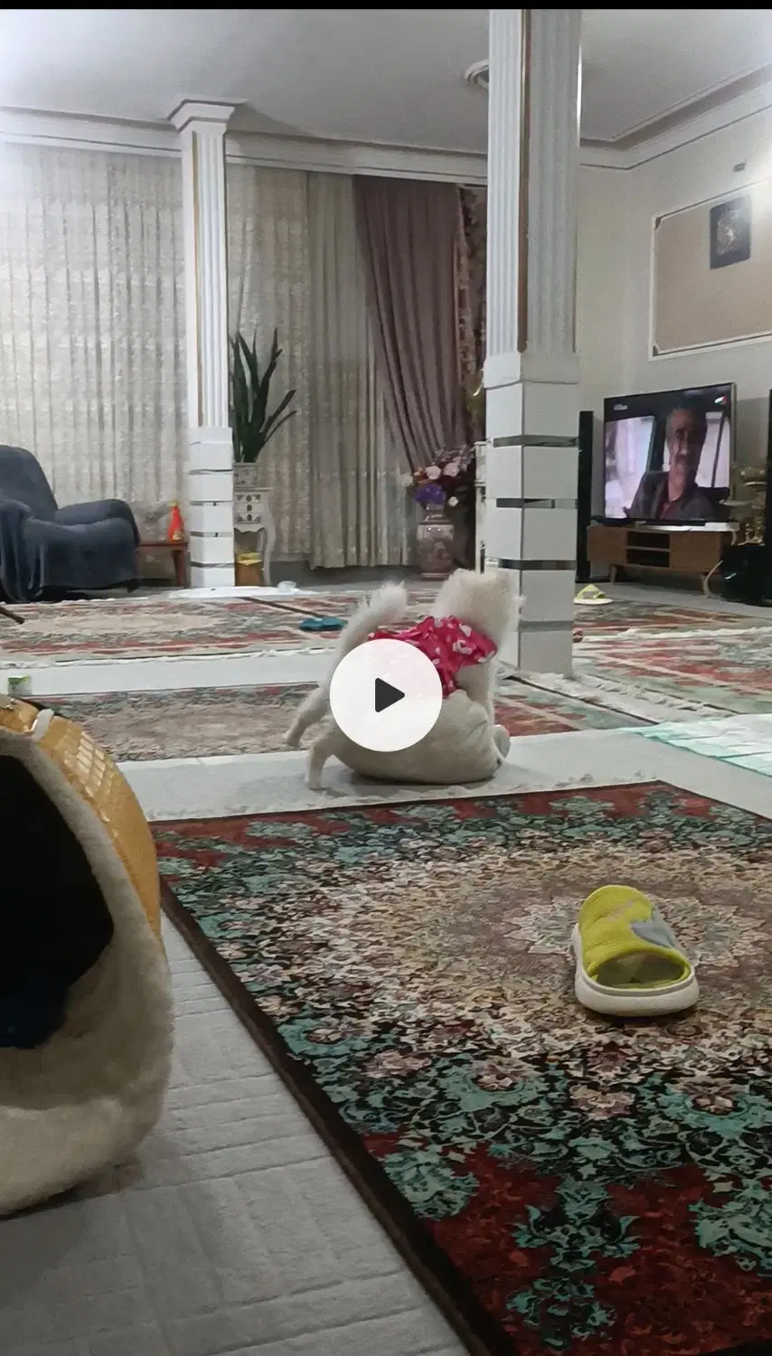 ویلایی مناسب دوخانواده