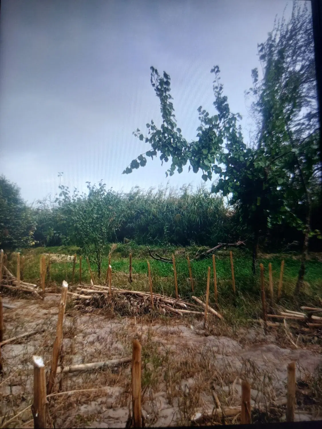 فروش باغ درروستای نوایی
