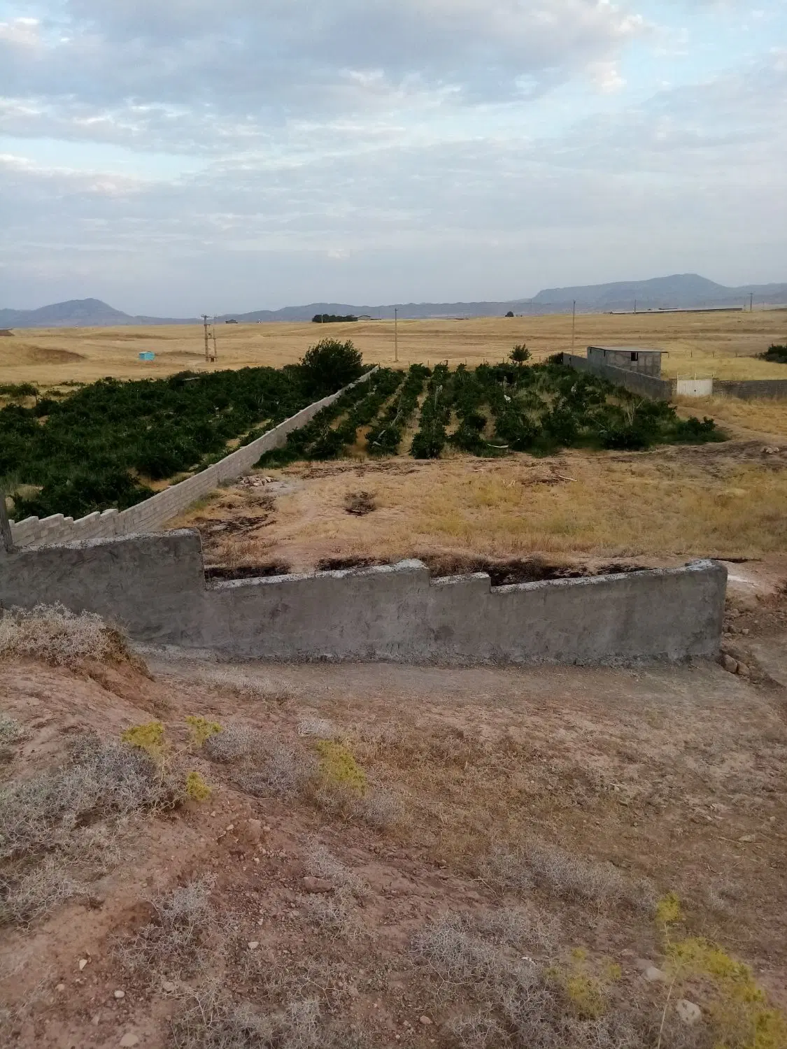 زمین خانه باغ ویلایی