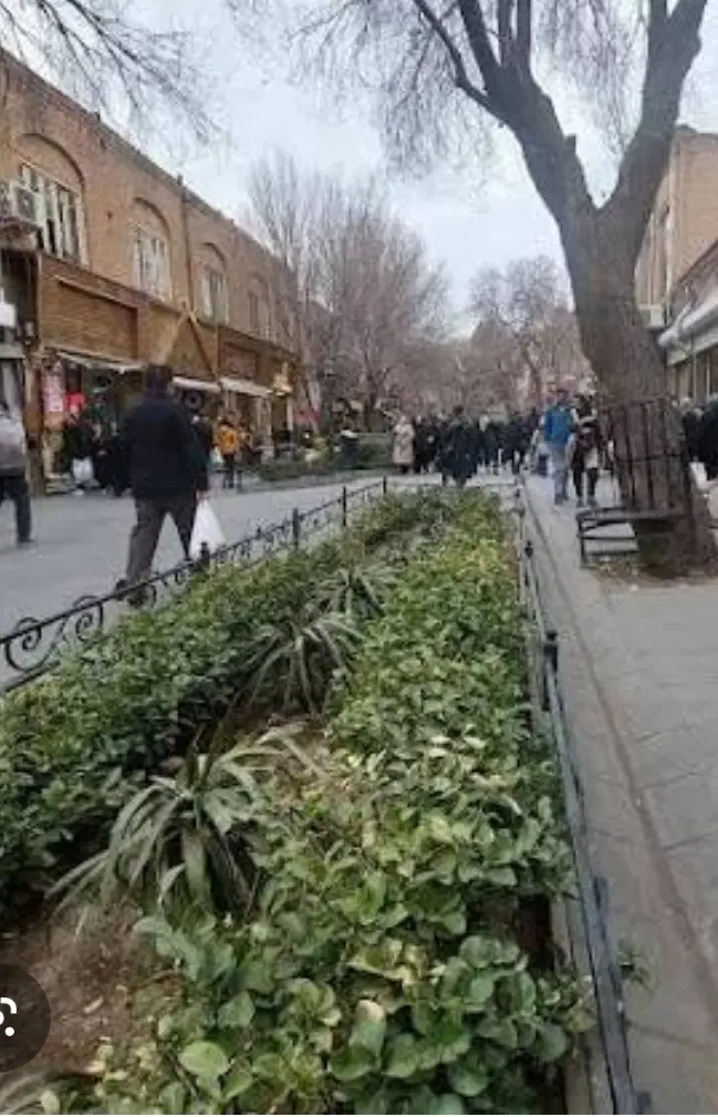 ملک قدیمی در سنگ فرش تربیت