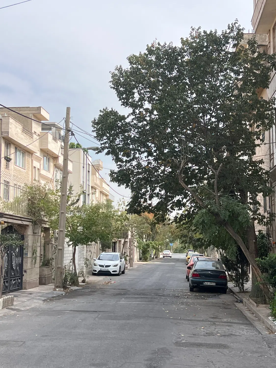 ۲۳۰ متر زمین دو نبش _دو گذر ۱۲ متری_ میدان المپیک