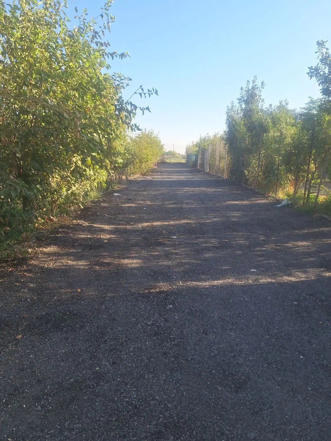 زمین باغی در نظام اباد