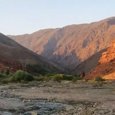 فروش فوری زمین