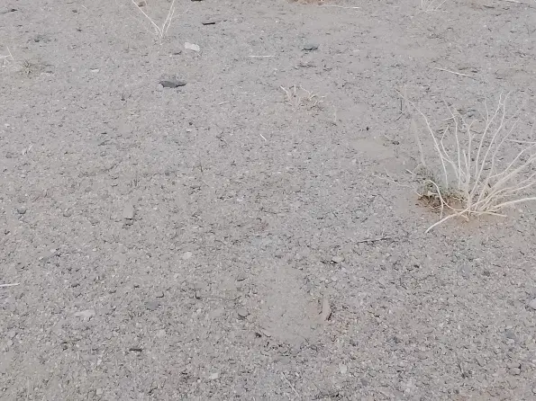 زمین فروشی روستای شهمراد آباد
