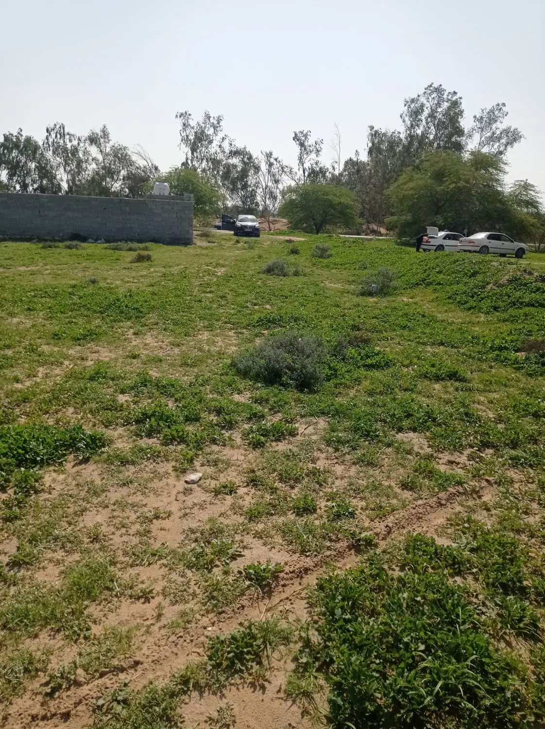 فروش زمین مسکونی