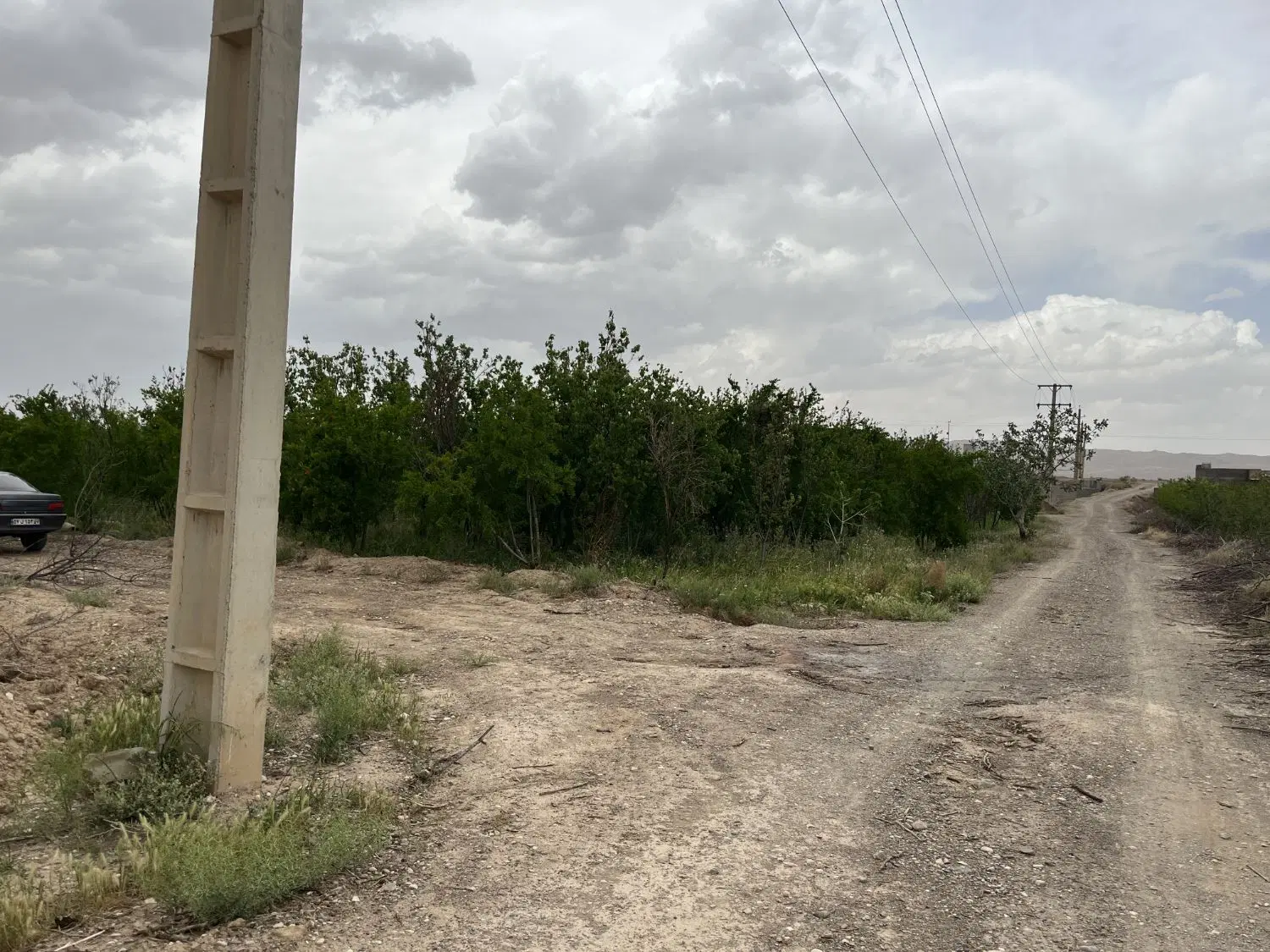 فروش باغ انار