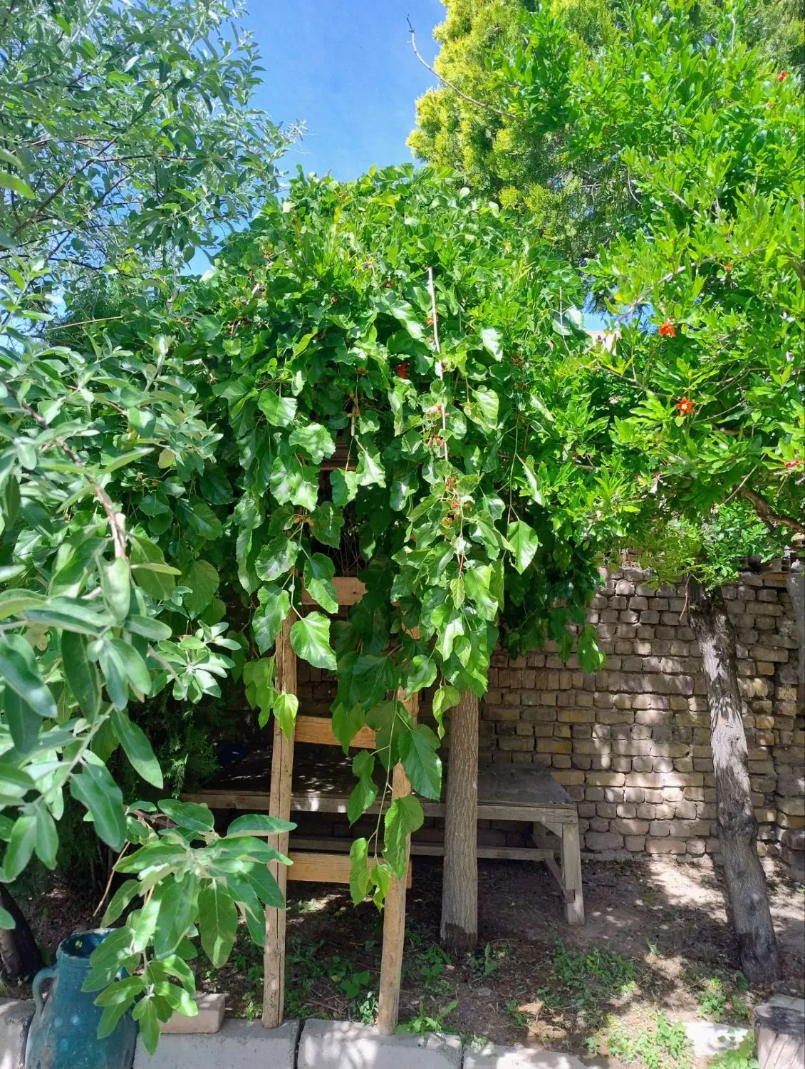 خانه ویلایی درکوگیر بالاتر از زویار ۵دقیقه از اتون