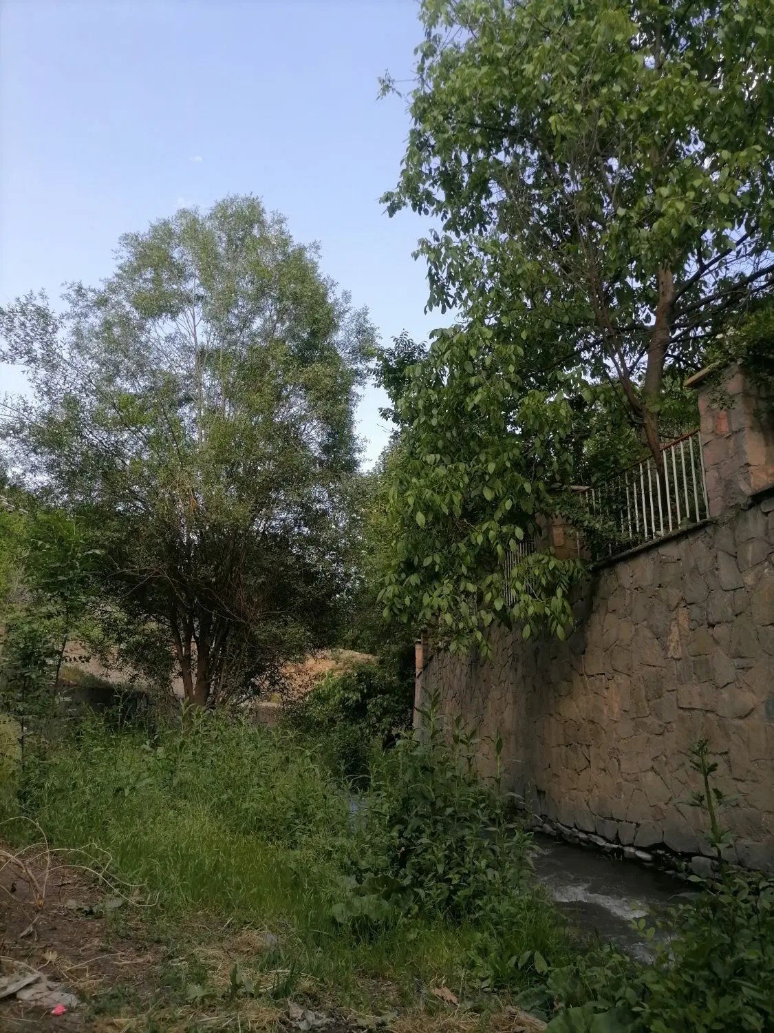 زمین 400 متری باغی در چاهشک اراضی مهر