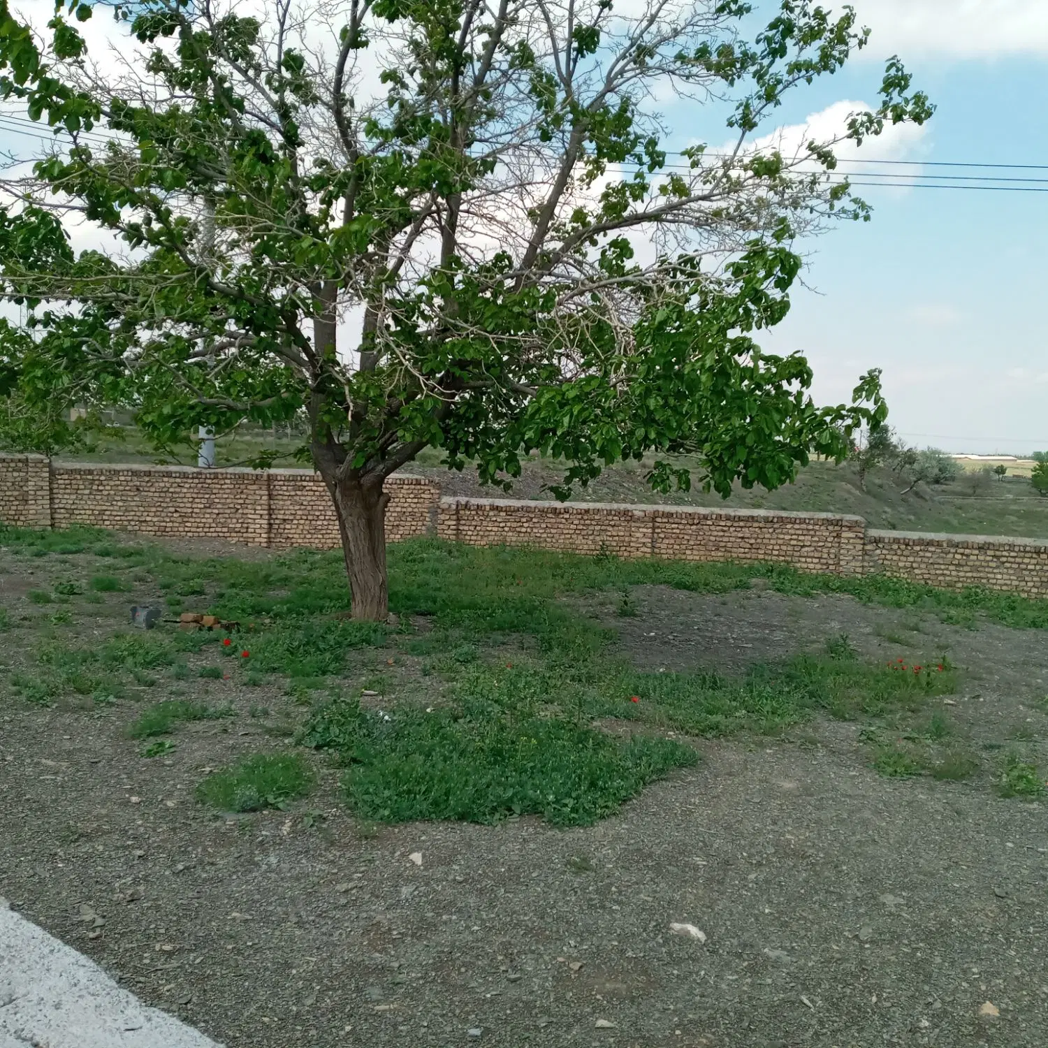 ۵۰۰ مترزمین دور دیوار ،چشم انداز عالی،ابتدای گراخک