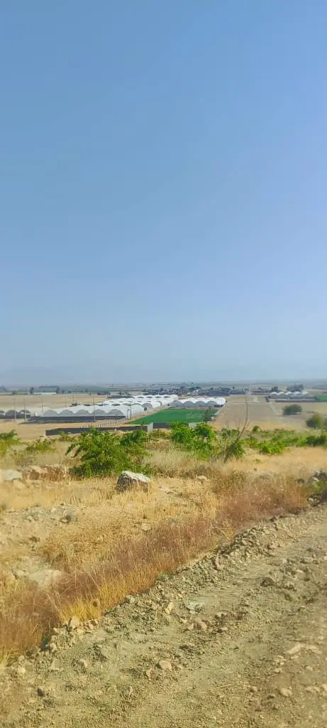 چندقواره زمین اول بیضا