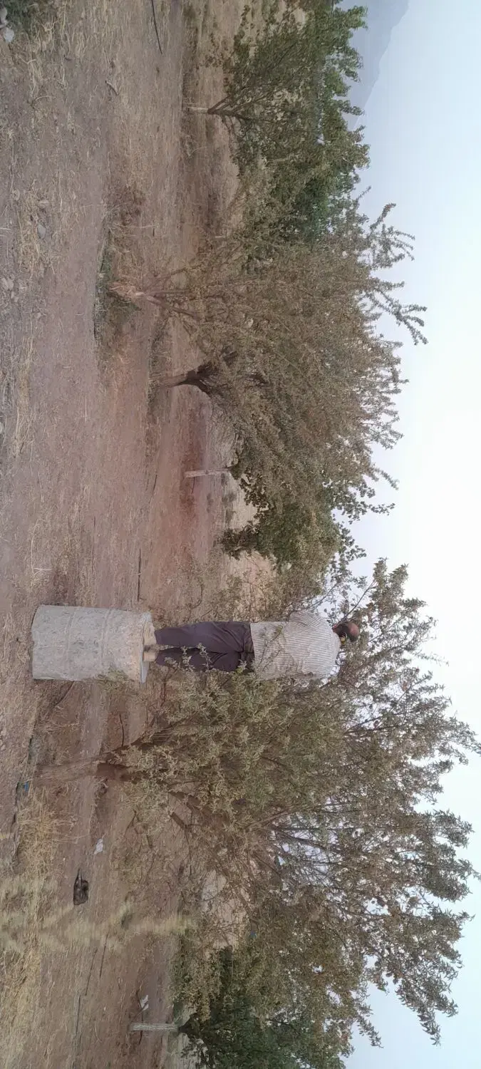 باغ درقلب شهر