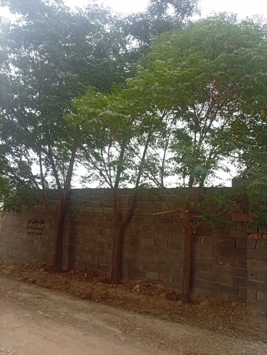 چهار دیواری فروشی