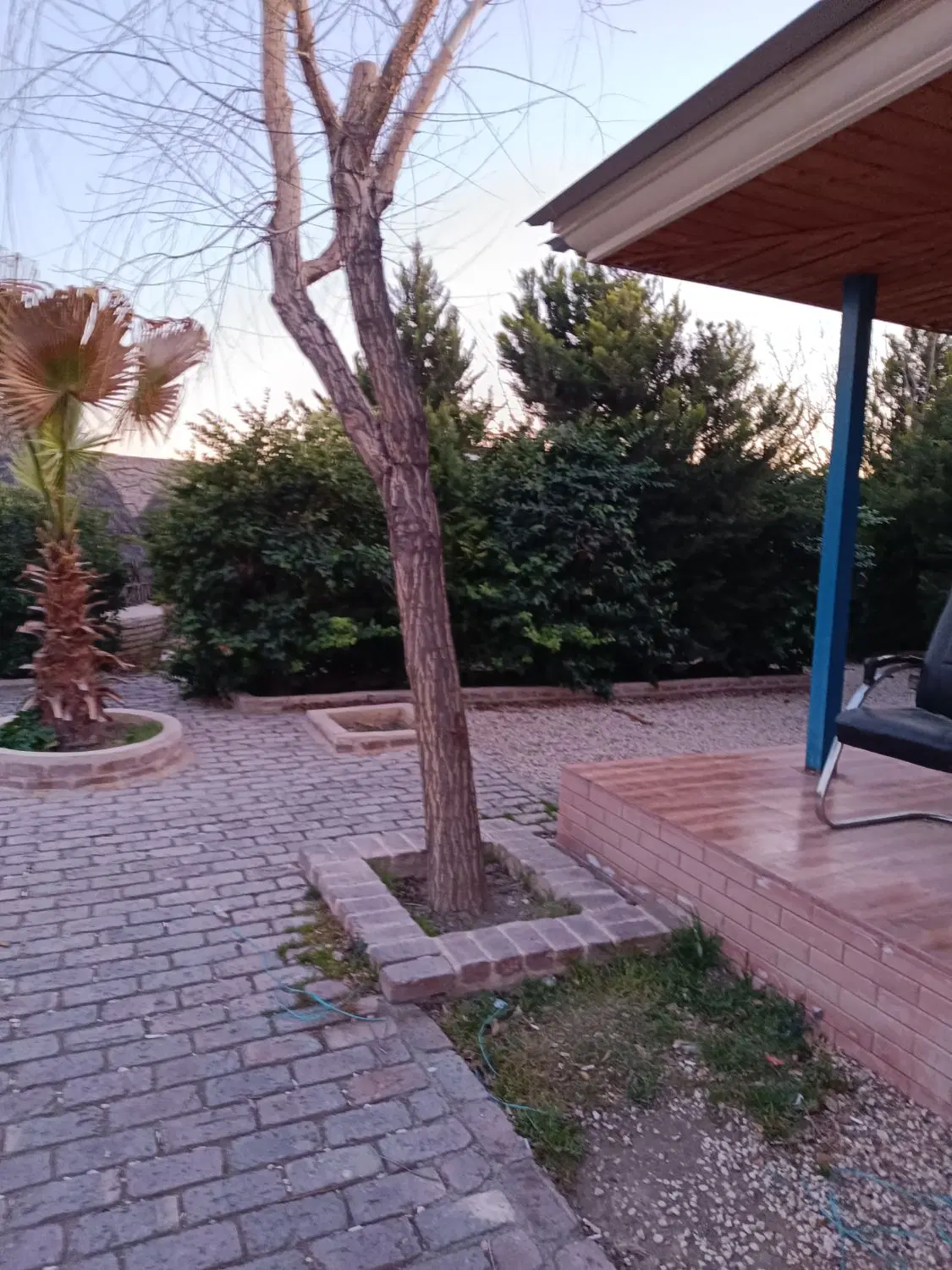 باغ وباغچه لوکیشن قوی سند تک برگ از۱۰۰متر به بالا