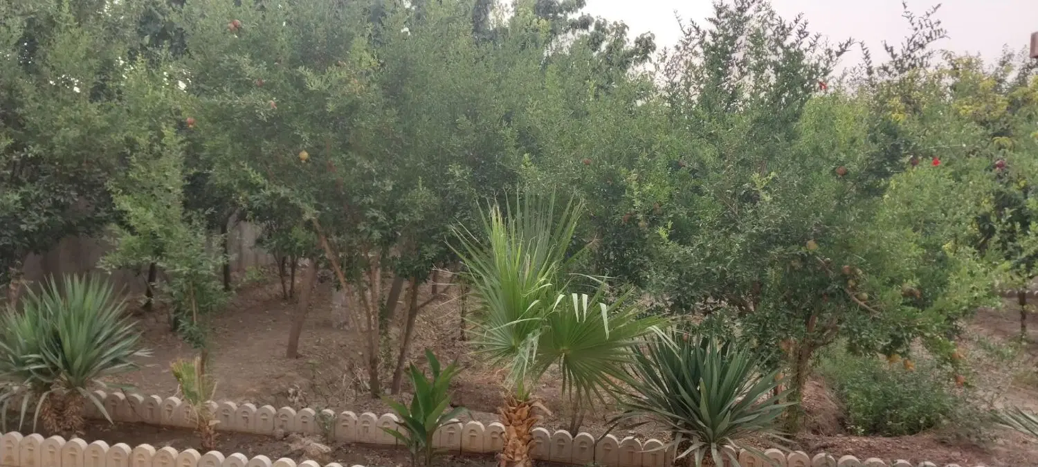 باغ ویلا در مامازند