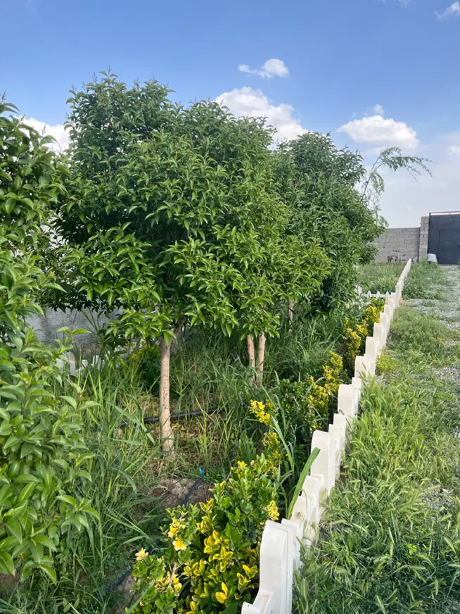 باغچه حصارساتی محوطه سازی شده و دنج