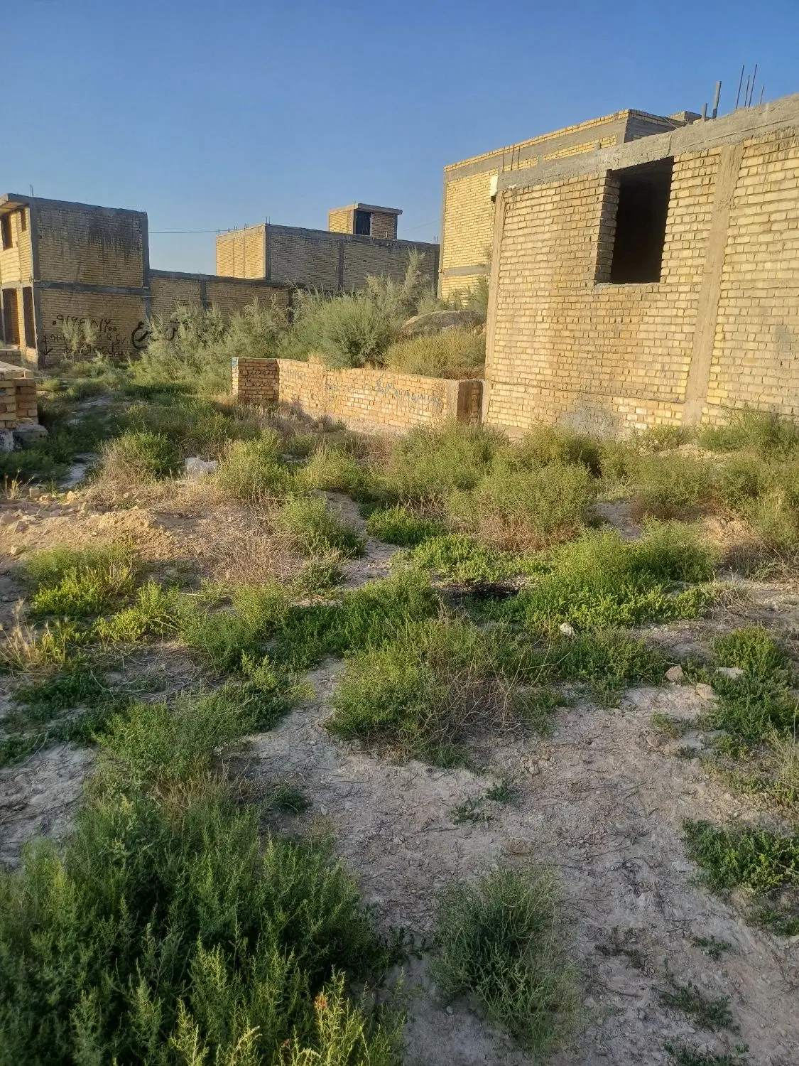 زمین مثنی کرونی