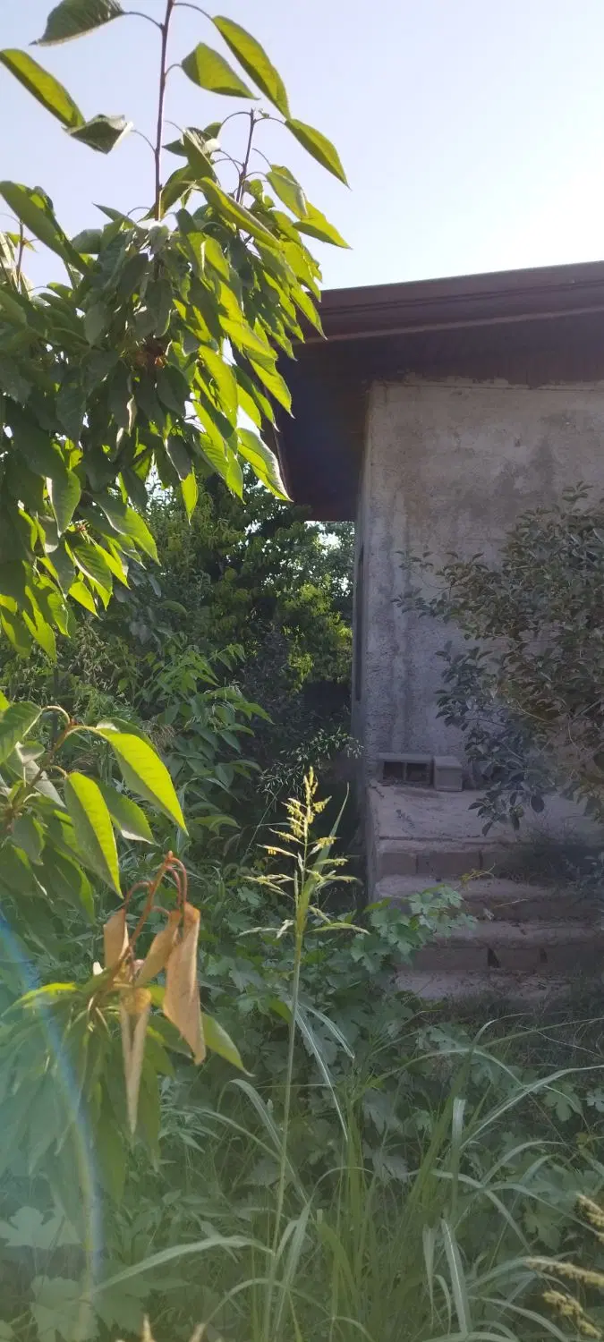 باغچه ۵۰۰متری _۶۰متر بنای مفید