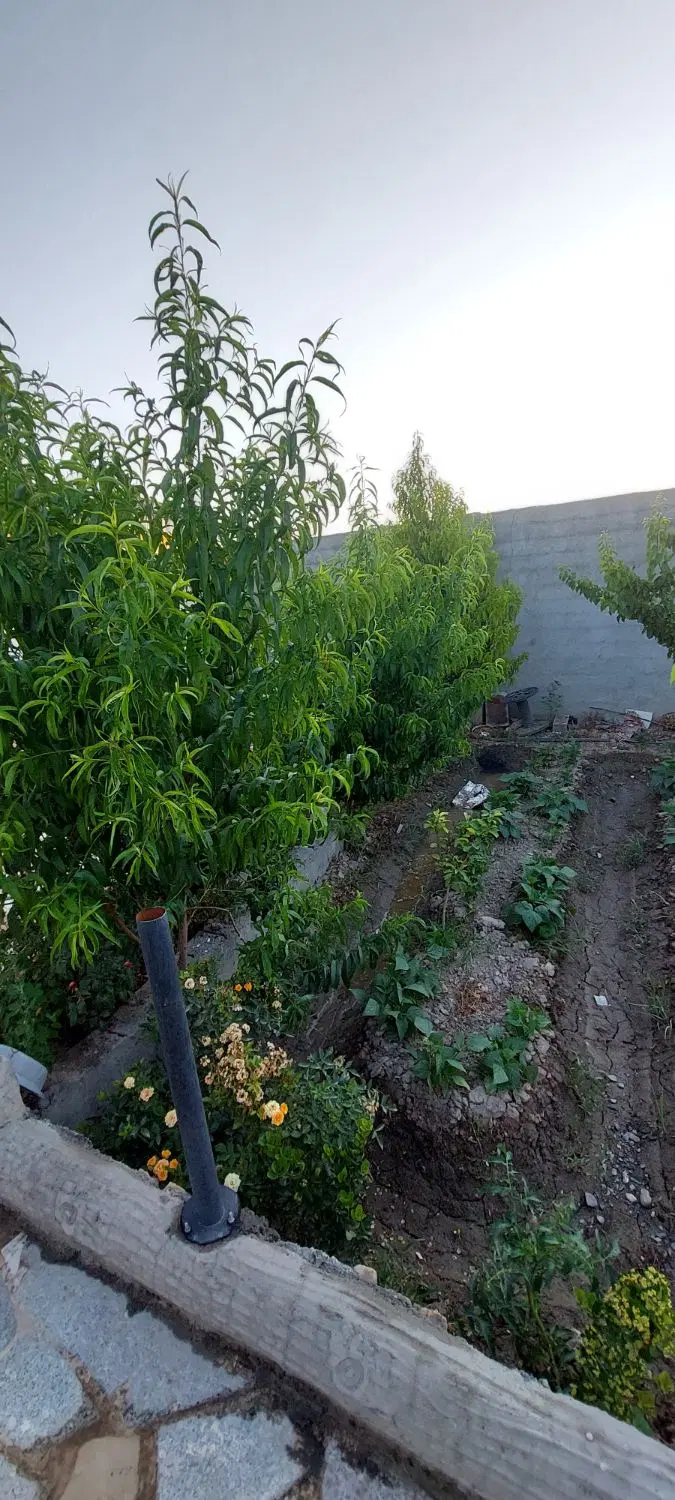 باغ ویلا 230 متر محدوده شهر مشهد نزدیک حرم مطهر