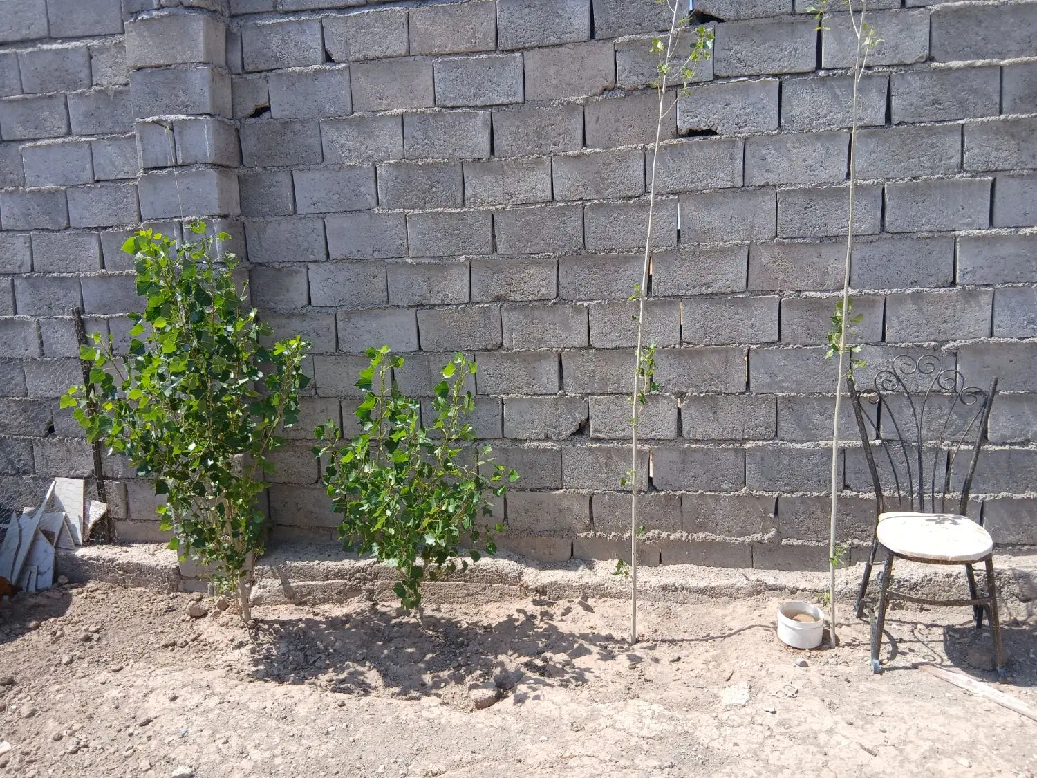 خانه باغ ۱۰۰۰ متری