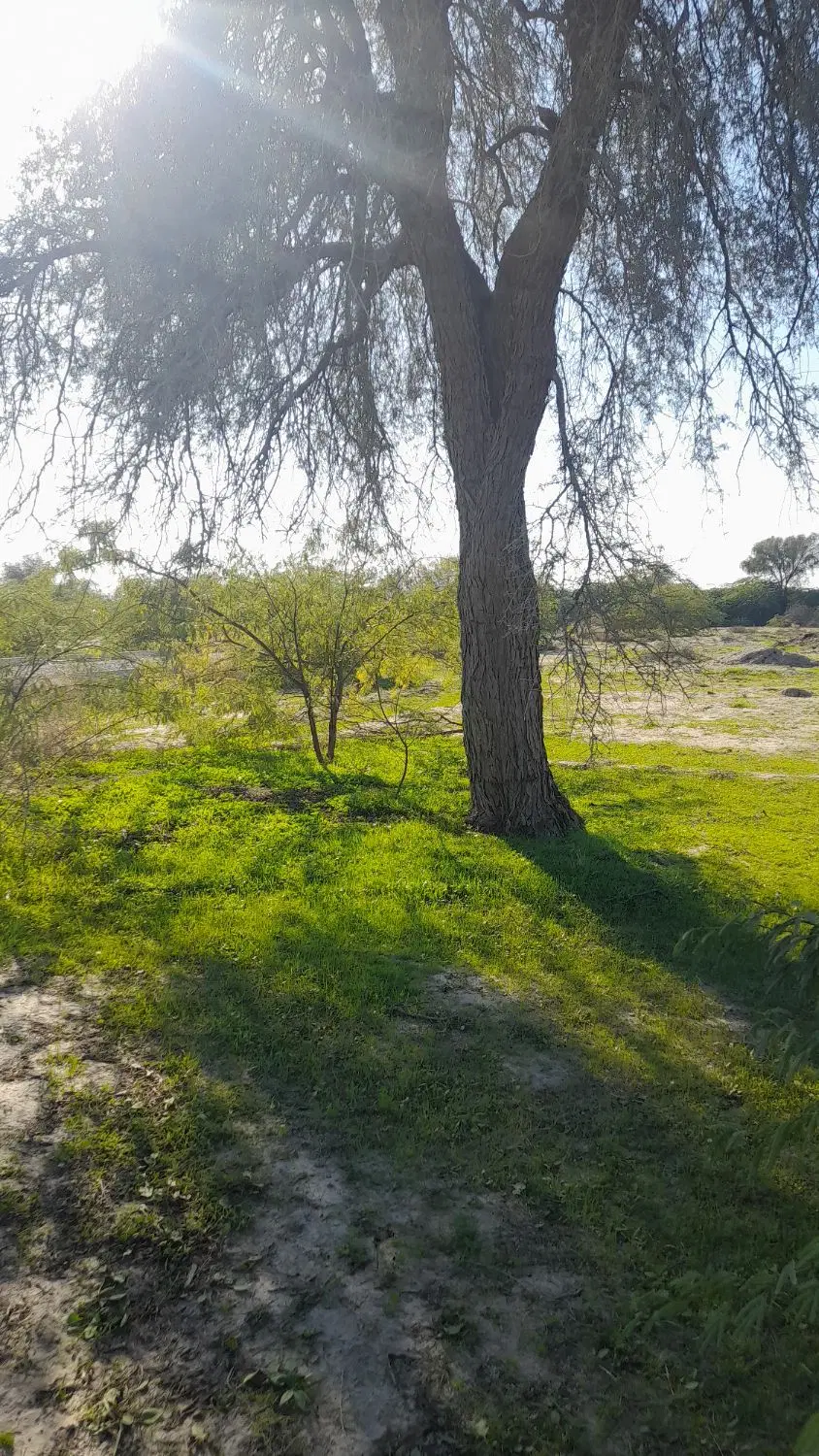 فروش زمین