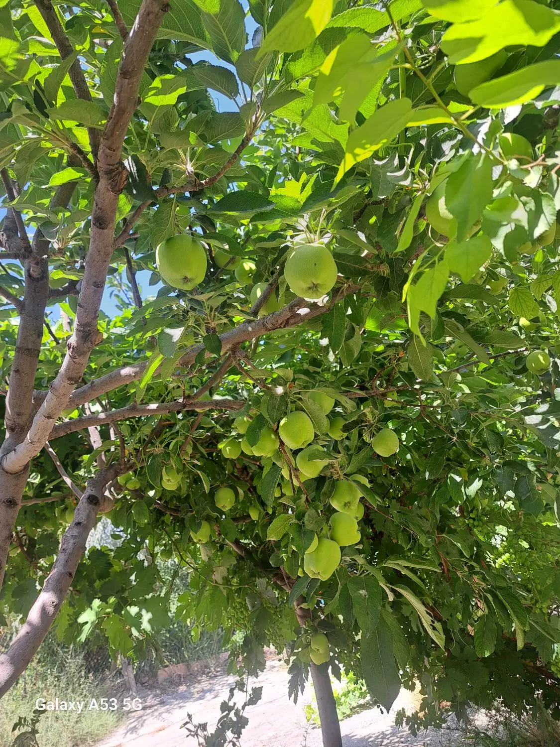 اجاره یک اتاق ۱۵ متری به یک نفر