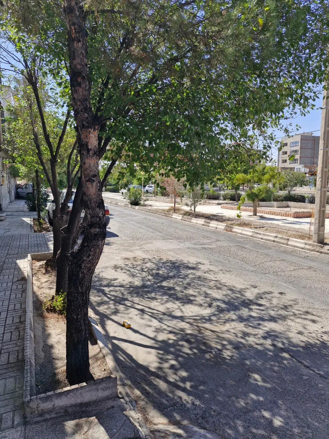 ویلایی حاشیه آوینی(موقعیت تجاری)